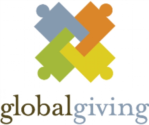 THE GLOBAL GIVING FOUNDATION